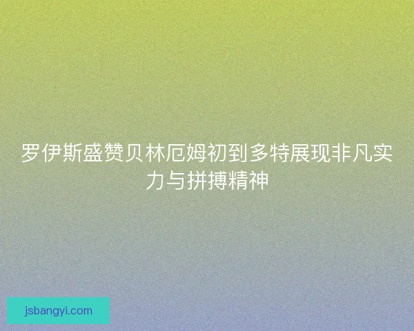 罗伊斯盛赞贝林厄姆初到多特展现非凡实力与拼搏精神